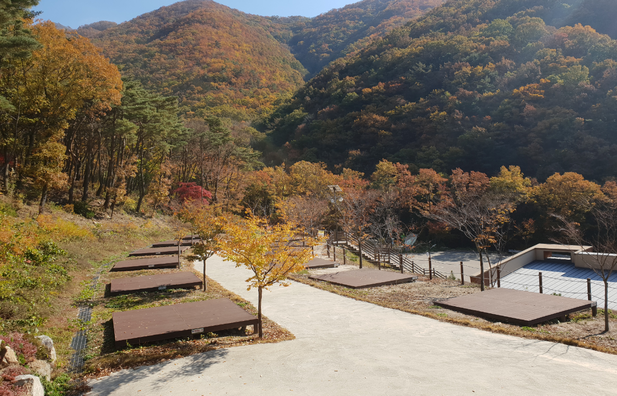 팔공산 금화자연휴양림